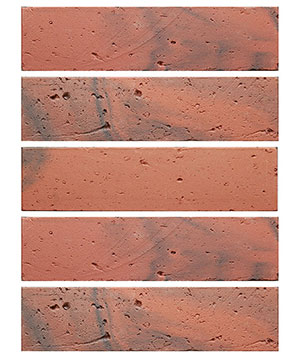 2022.5.16_11.36.26_1294