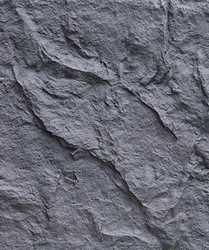 2024.10.22_14.2.48_6963