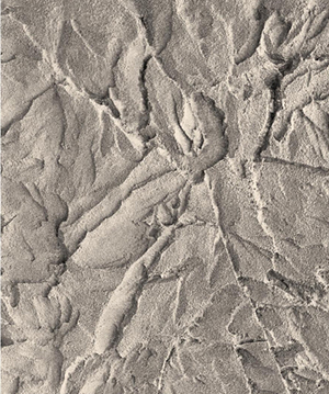 2025.4.14_16.1.48_5622