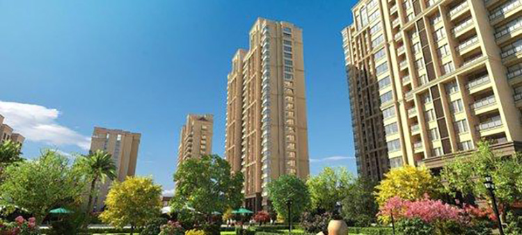 游艇会·yth206(中国)最新官方网站