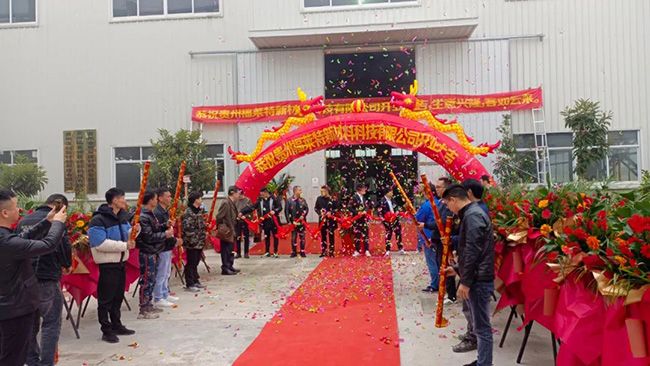 游艇会·yth206(中国)最新官方网站